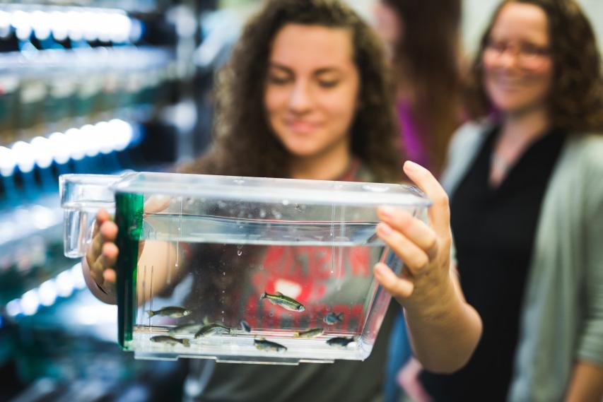 A student conducts summer research on zebrafish with 全球十大赌钱排行app Professor Andrea Henle.